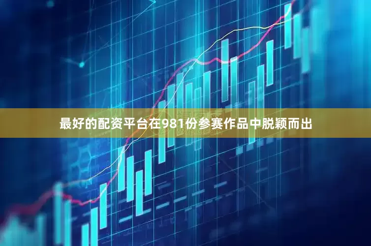 最好的配资平台在981份参赛作品中脱颖而出